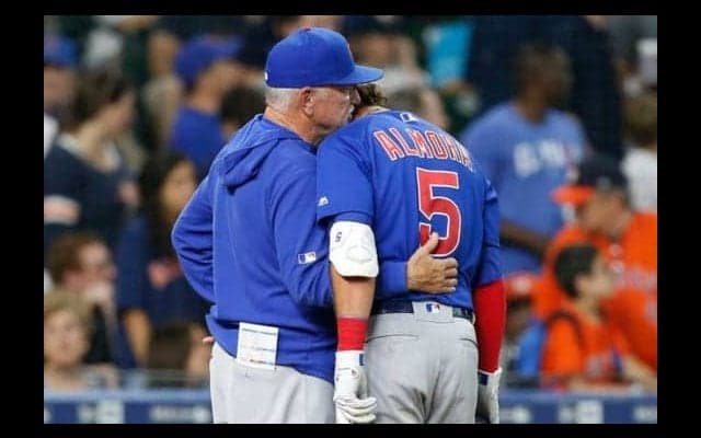 【MLB】ネット拡大に動いたWソックスに涙のアルモラJr.が賛辞　「彼らの動きは嬉しい」
