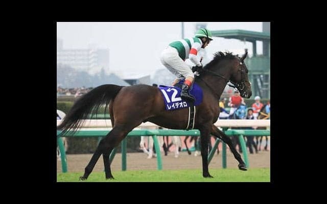 宝塚記念は５歳馬２頭に期待。今年苦戦中も馬場適性と血統はバッチリや