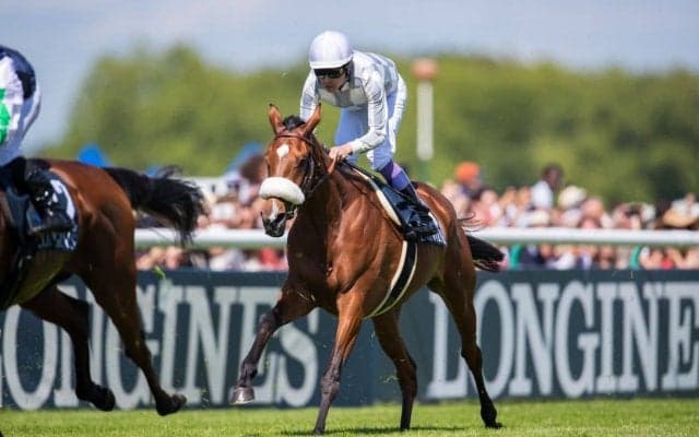 【武豊日記】海外遠征