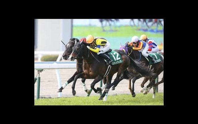 宝塚記念の穴馬パターンは３つ。該当する３頭と紅一点で気分爽快だ