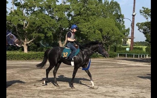 【注目新馬】ブルトガング  グランアレグリア全弟が始動