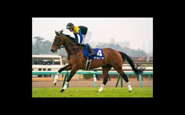 宝塚記念は波乱の余地あり。有力ＧＩ馬６頭の中に不気味な存在がいる