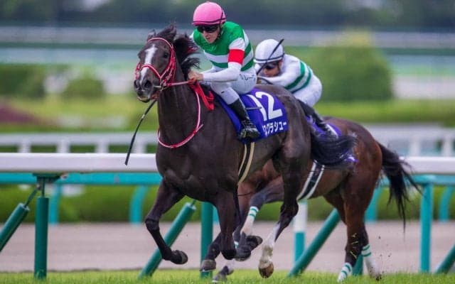 【宝塚記念】キセキがまたしてもG1で2着…昨年JCから3度目