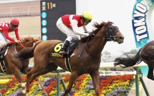 【パラダイスS】田辺「脚を溜めながら運べた」6番人気のショウナンライズがV