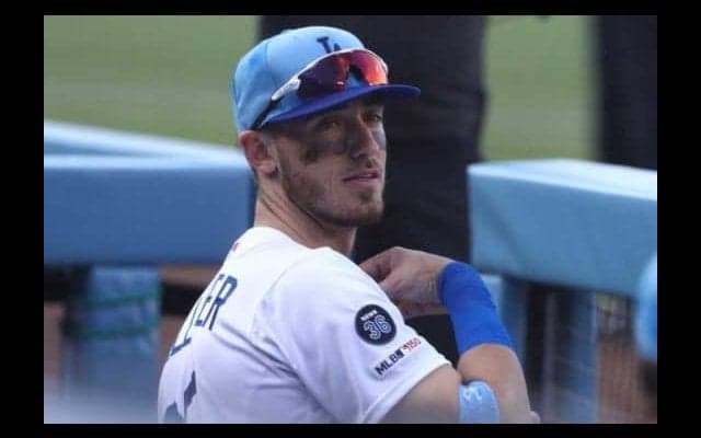 【MLB】ド軍外野手、女性ファン乱入に苦笑い　「刑務所」忠告も「その価値があるわ」