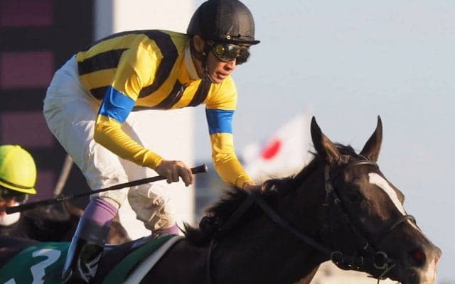 【ジャパンジョッキーズカップ2019】JRA参加騎手が決定