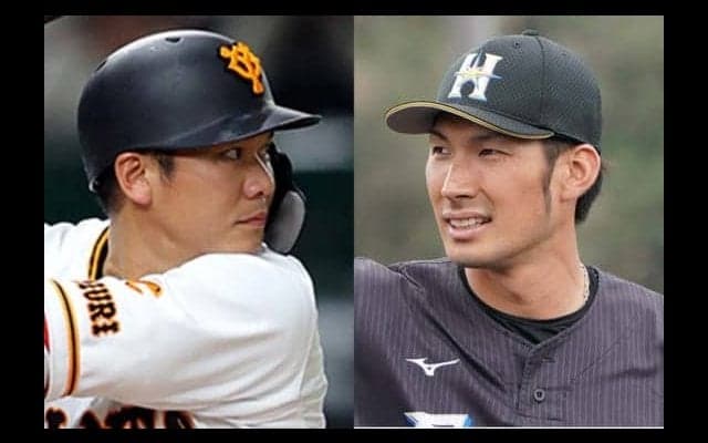 坂本勇人の“脱帽”を励みに-日ハム大田の現在地「背中、プレーで見せながら」