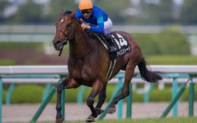 【武豊日記】アイスストーム