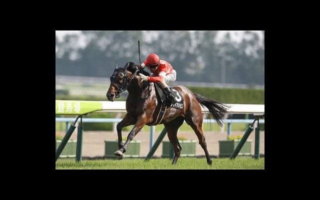 穴党記者からの提言。ラジオNIKKEI賞は「斤量と血統を重視すべし」