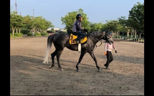 【CBC賞】ショウナンアンセム 田中剛師「賞金加算したい」