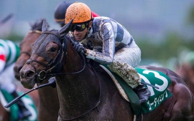 【ラジオNIKKEI賞】武豊「小回りコースの分…」木梨憲武命名のゴータイミングが3着