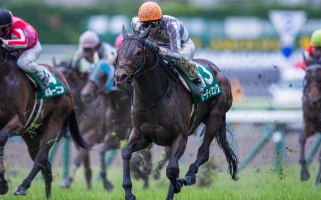 【ラジオNIKKEI賞】Mデムーロ「馬場が合わなかった」レース後 ジョッキーコメント