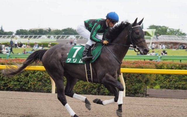 【マーキュリーカップ】出走予定馬について
