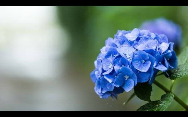 痛みだけではない「天気痛」とは？梅雨の時期の過ごし方について