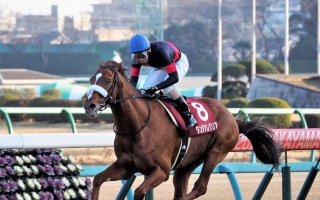 タンタアレグリア号が死亡