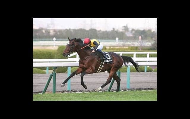 「荒れる」七夕賞で狙える３頭。過去の穴馬には意外な共通点があった