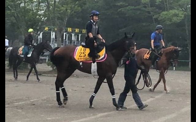 【七夕賞】ミッキースワロー 菊沢「あとは自分次第」