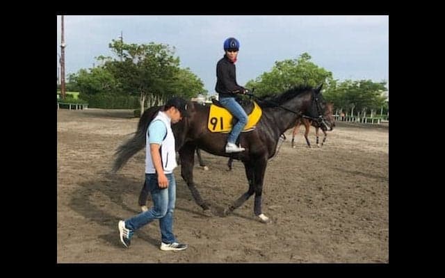 【プロキオンS】アルクトス 1700m以下では6.1.1.0と完璧