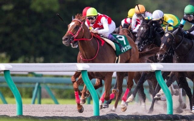 【プロキオンS】武豊「ハマったら強いのですが…」マテラスカイは5着敗退