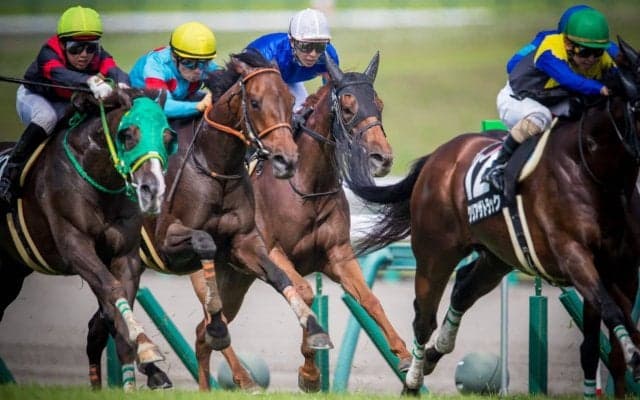 【有松特別】武豊 11番人気のムーンチャイムで差し切り！混戦から抜け出す