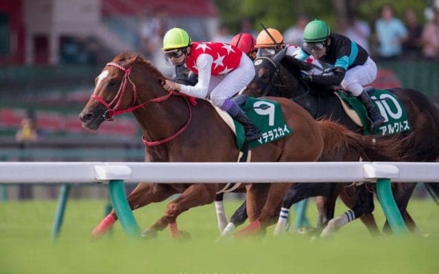 【プロキオンS】森師「予定通りブリーダーズカップ(スプリント)へ」レース後 関係者コメント