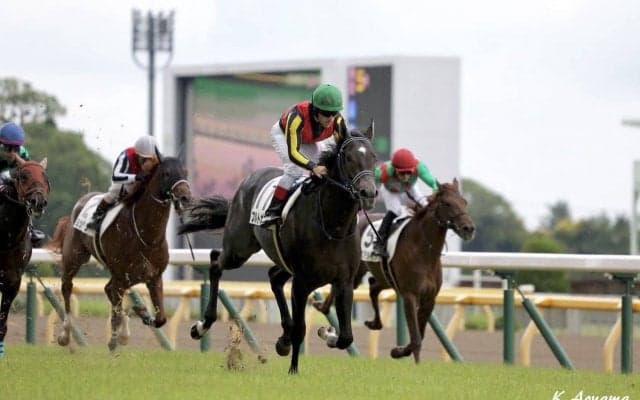 ブルトガングが安楽死処分 全姉は桜花賞馬のグランアレグリア