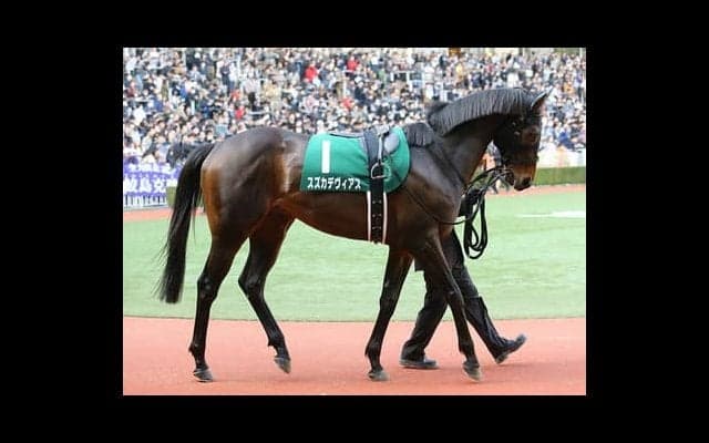 穴党記者が好物の函館記念。ウマい配当がいただけるのは、この４頭だ