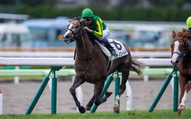 【新馬/函館5R】武豊サトノゴールドが完勝！デビューV