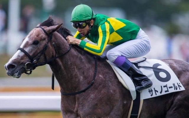 【日曜函館/5R新馬】武豊「いかにもゴールドシップ産駒」ゴールドシップ産駒JRA初勝利