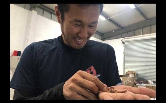 元DeNA久保康友に“難敵”出現　体長8センチ巨大サソリ現る「出るぞ出るぞと…」