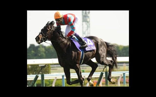 函館２歳Ｓは血統で狙う。父馬だけでなく、母系にも注意が必要だ