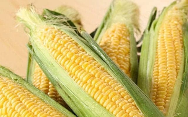 とうもろこし茶の驚くべき効果効能