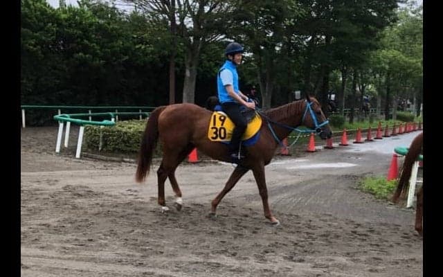 【アイビスSD】ライオンボス 破竹の3連勝で重賞タイトル狙う