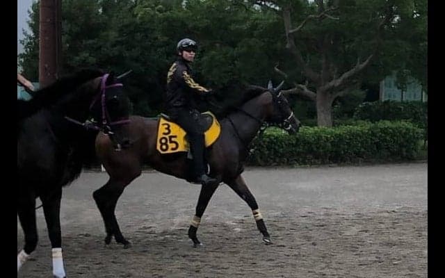 【アイビスSD】カッパツハッチ 千直適正高くチャンス