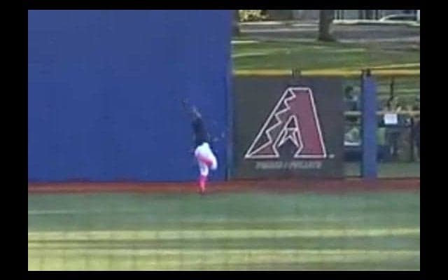 【MLB】中堅手がフェンス突き抜け…マイナーでの“珍プレー”に実況も愕然「姿を消しました！」