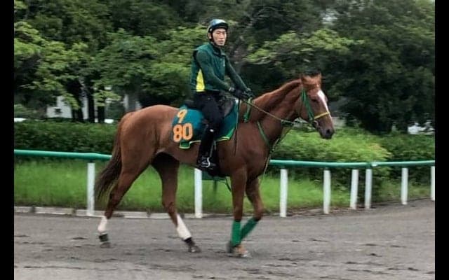 【注目新馬】コパノカリブ 背中の感じ良好で期待大きい
