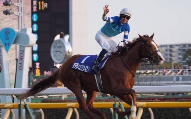 2019キングジョージⅥ世＆クイーンエリザベスステークス（G1）日本馬の近況（7月25日）