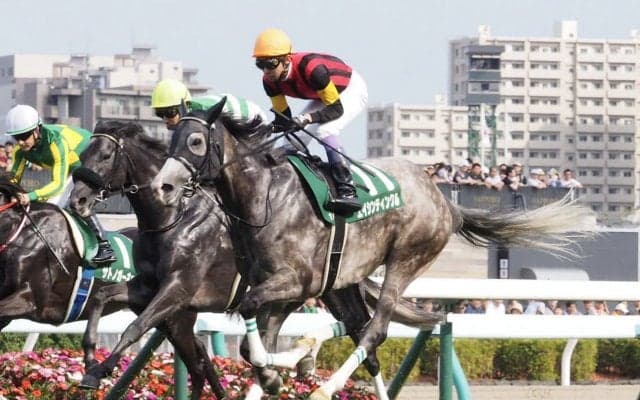 【クイーンS】武豊「向こう正面まで力んでいた」エイシンティンクルは伸びてくるも5着