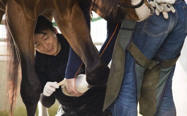 ディープインパクトが急死！装蹄師・西内荘「感謝しかない」