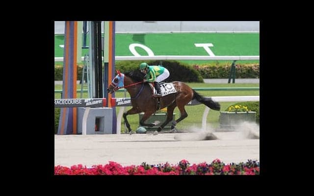 レパードＳは３年連続大荒れか。「逃げるが絡む」傾向に４頭がハマる