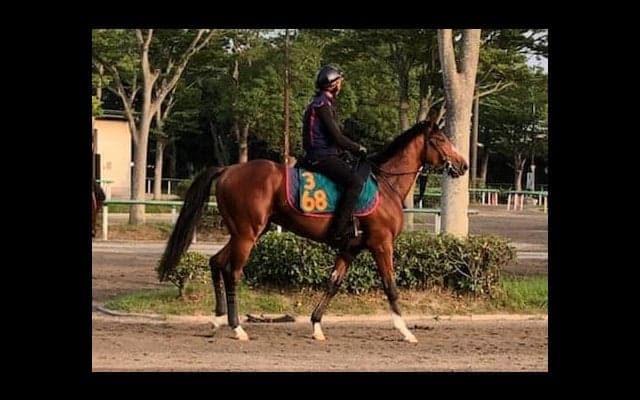 【注目新馬】セントオブゴールド 全姉はショウナンパンドラ