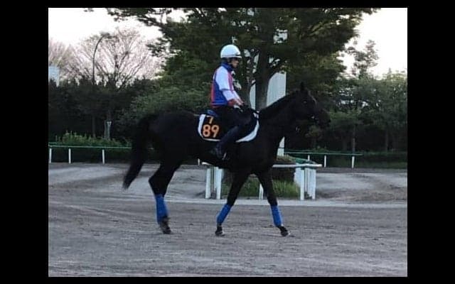 【レパードS】デルマルーヴル 舞台を問わない安定感