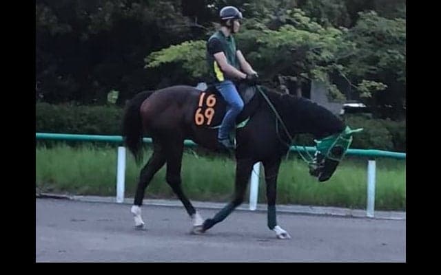 【レパードS】ワシントンテソーロ 早めの競馬で持ち味生かす