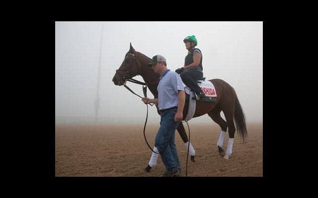 米ＧＩ２勝のヨシダが兄。初陣間近サンクテュエールの評判は上々だ