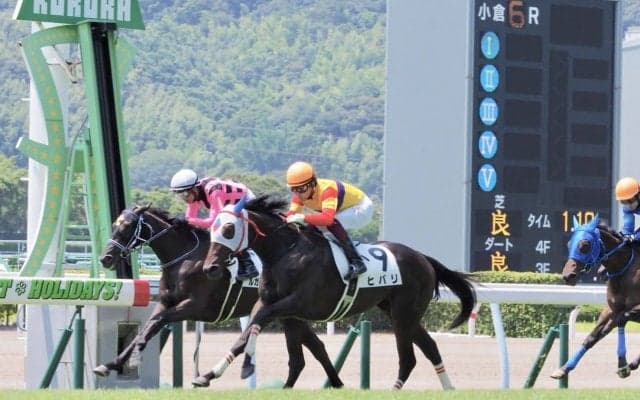 【新馬/小倉6R】ヒバリが差し切ってV！デビュー戦を快勝