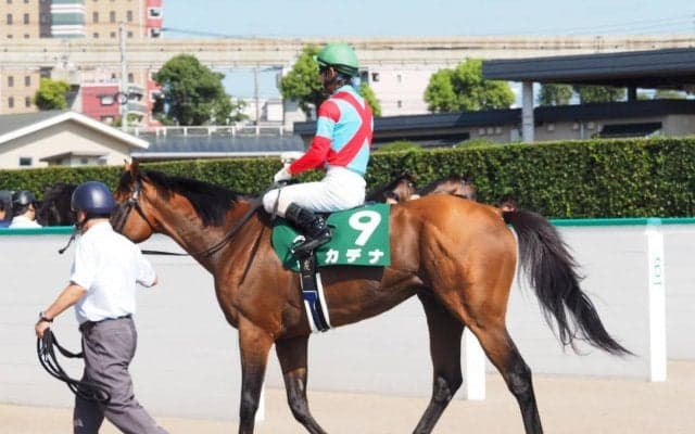 【小倉記念】北村友「馬が良くなっている」カデナが惜しい2着でディープ追悼Vならず