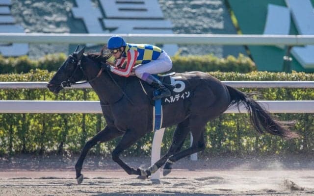 【小倉12R】武豊ヘルディンが軽快な逃げ切りを見せる