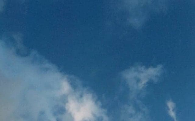 夏バテの原因と養生