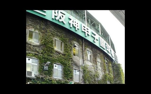 甲子園の赤レンガを覆う「蔦」の秘密。緑のカーテンの苗はどこから？