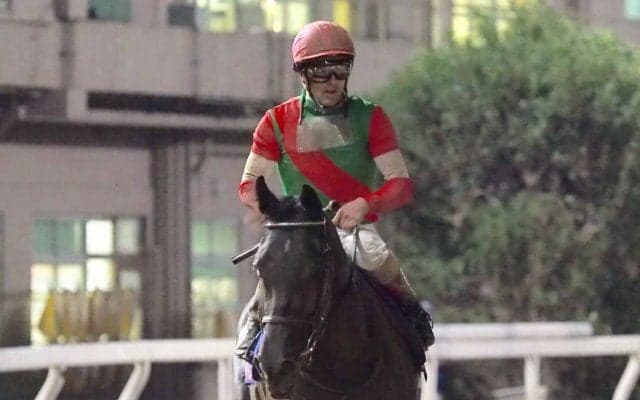 【ブリーダーズゴールドC】JRA出走予定馬